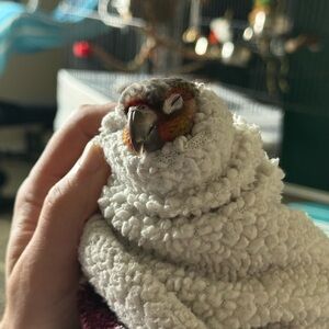 Meet your Posher, Christine